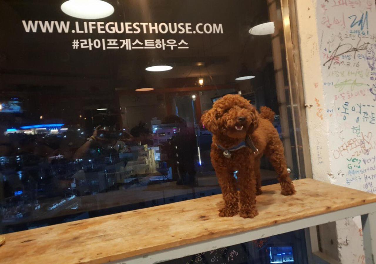 Lifeguesthouse Tongyeong Ngoại thất bức ảnh